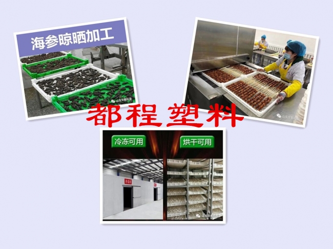 關(guān)于塑料單凍器小知識-廊坊都程塑料有限公司